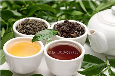 智谷享購(gòu)代理是什么市場(chǎng)模式