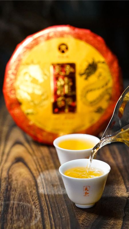 天弘茶業基地 高端古樹茶隆重上市