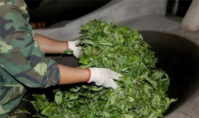 普洱茶崩盤后,他卻一條道走到&ldquo;黑&rdquo;!走著走著天就亮了!