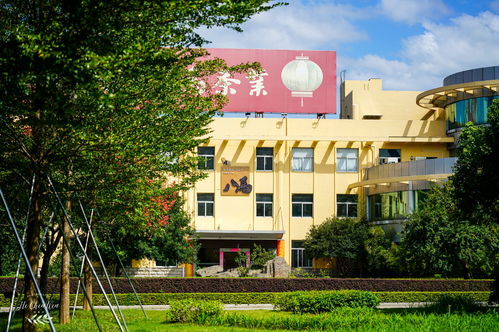 走進安溪鐵觀音之鄉(xiāng),探訪八馬茶葉百年制茶世家