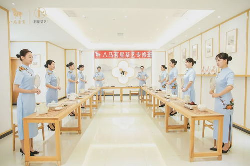 走進八馬茶業(yè)安溪總工廠 ,赴一場會回甘的約