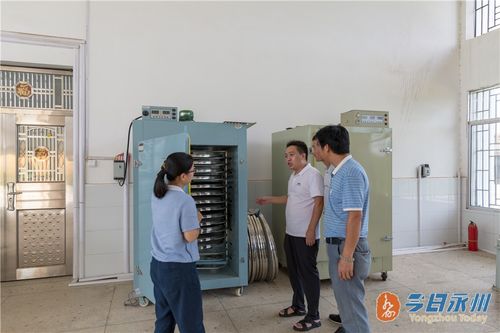 東安 山貨出大山 茶葉變 金葉