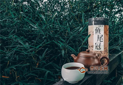 翠竹隨風樂，尾魚逐水流——巔茶茶業的文化與自然之美