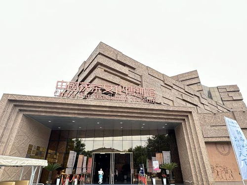 茯茶鎮(zhèn) 以茶為媒，帶活百億產(chǎn)業(yè)，鑄就中國(guó)茯茶之都