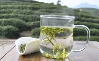 茶商巡禮之大霧山茶業(yè) 以茶為心，以誠(chéng)為葉